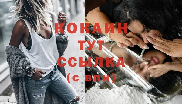 гидропоника Карталы
