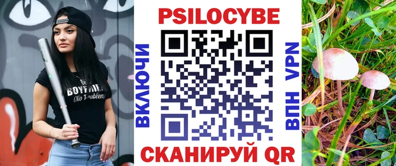 Купить  Ефремов  Псилоцибиновые грибы GOLDEN TEACHER 