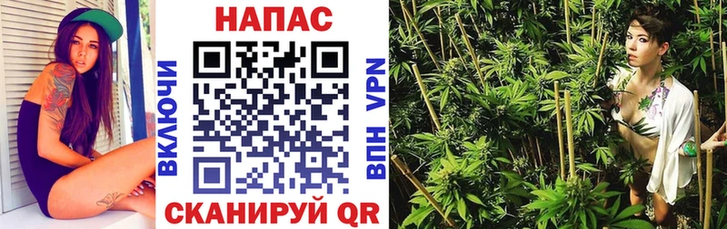 Купить закладки  Ефремов  Шишки марихуана семена 